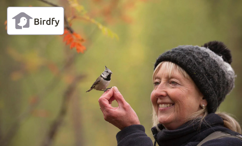 Birdfy Customer Reviews!