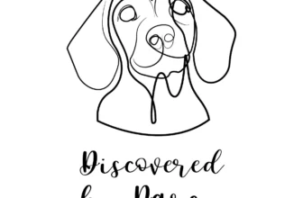 Discovered by Darcy Logo