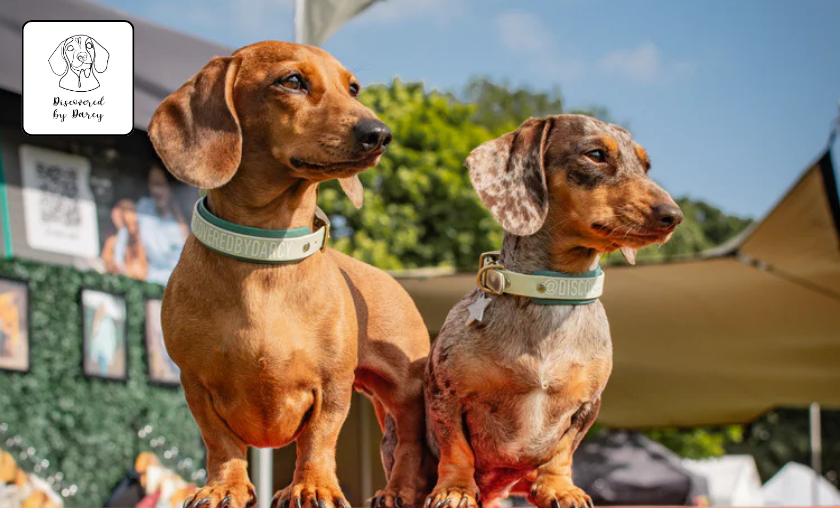 Discovered by Darcy Review: Best Comfy Baby Apparel! ([wpsm_custom_meta type=date field=month] [wpsm_custom_meta type=date field=year]) - The Complete Portal