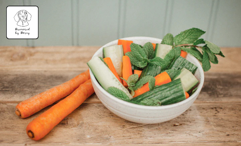 Discovered by Darcy Review: Best Comfy Baby Apparel! ([wpsm_custom_meta type=date field=month] [wpsm_custom_meta type=date field=year]) - The Complete Portal