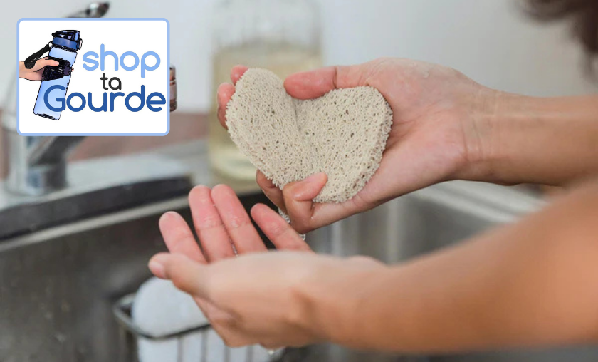 How Shop ta Gourde Excels!