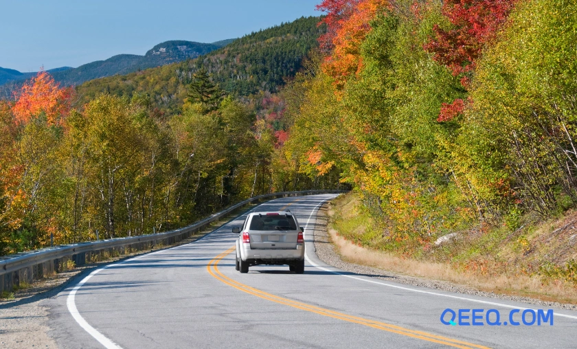 In-Depth Brand QEEQ Review