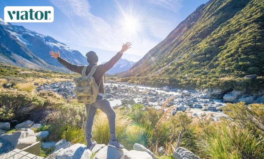 In-Depth Brand Viator UK Review