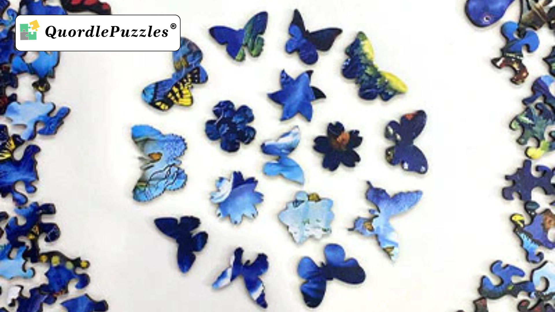 Reasons to Choose Quordle Puzzles!