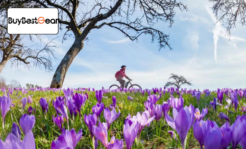 The Story of BuyBestGear!