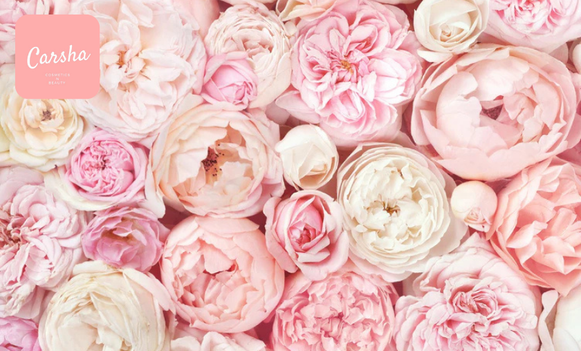 The Story of Carsha!