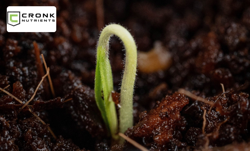 The Story of Cronk Nutrients!