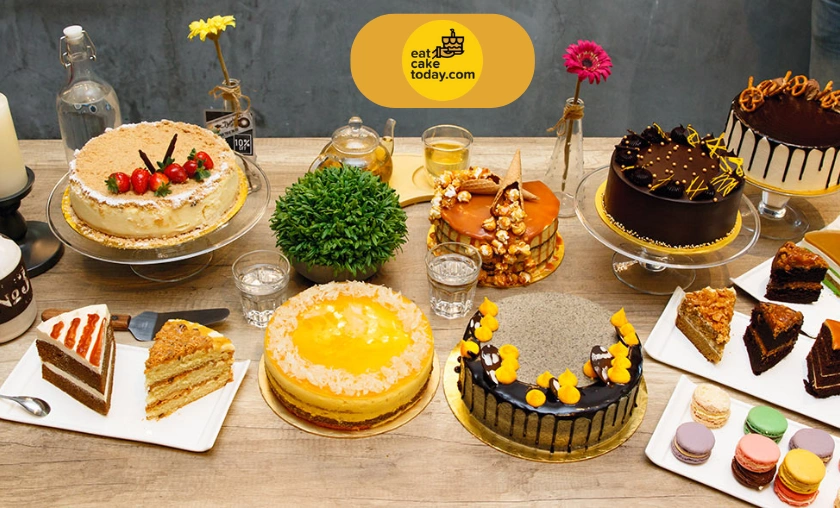 Top 5 Eat Cake Today Products & Features