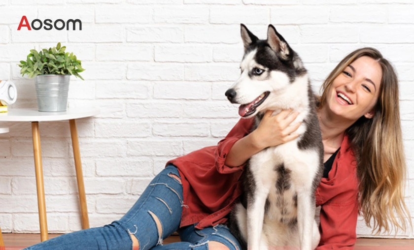 Aosom DE Review: Quality, Value & Style for Every Home! ([wpsm_custom_meta type=date field=month] [wpsm_custom_meta type=date field=year]) - The Complete Portal