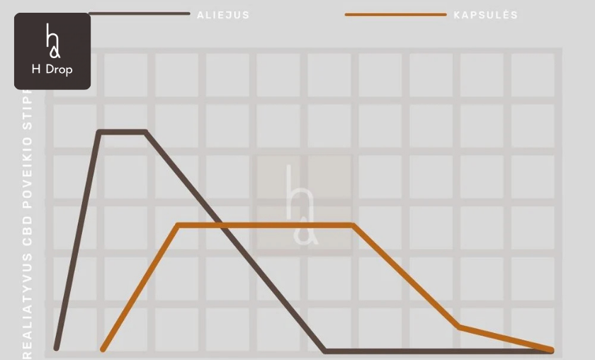 Why Shoppers Love H Drop Lietuva!