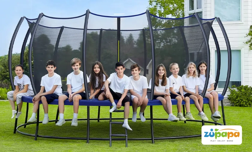 Zupapa US Brand Review