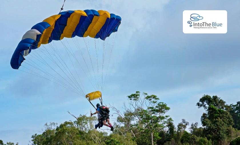 Brand Review What Makes Into the Blue UK Stand Out