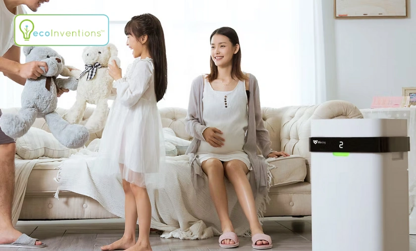 EcoInventions Review: Best Efficient Home Products! ([wpsm_custom_meta type=date field=month] [wpsm_custom_meta type=date field=year]) - The Complete Portal