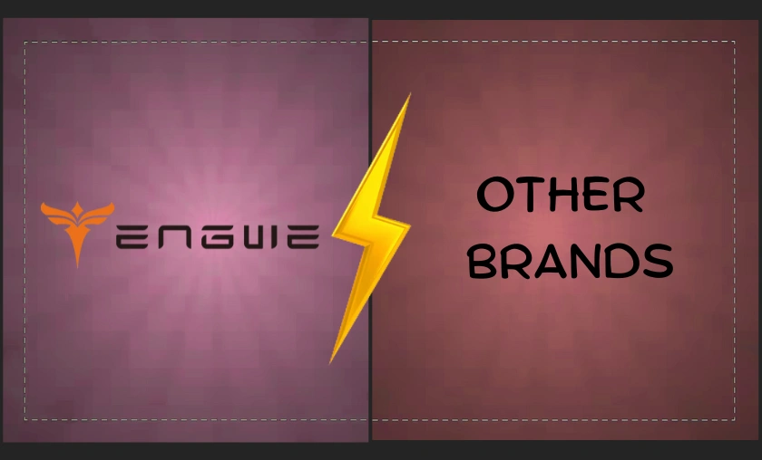 Engwe Bikes vs Other Brands