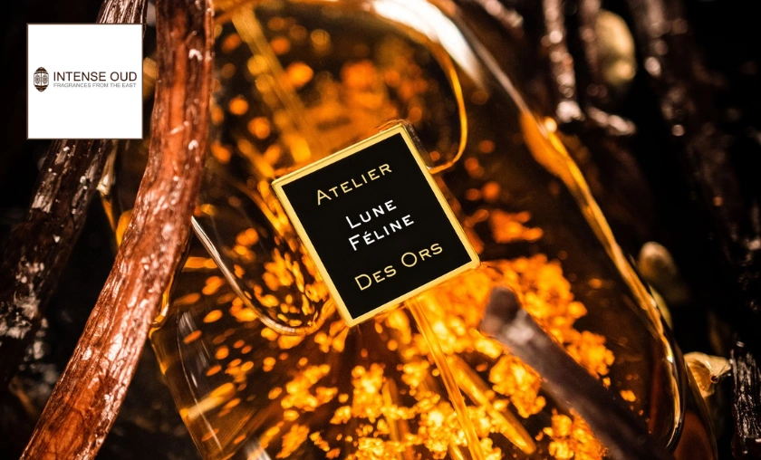 Intense Oud Review: Best Arabic Niche Fragrances! ([wpsm_custom_meta type=date field=month] [wpsm_custom_meta type=date field=year]) - The Complete Portal