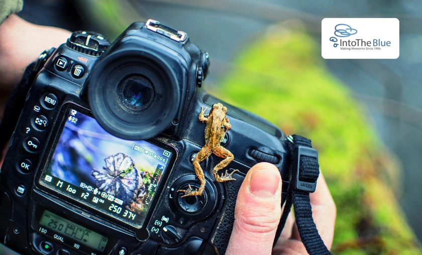 Into The Blue UK Review: Experiences & Picks for Memorable Gifts! ([wpsm_custom_meta type=date field=month] [wpsm_custom_meta type=date field=year]) - The Complete Portal