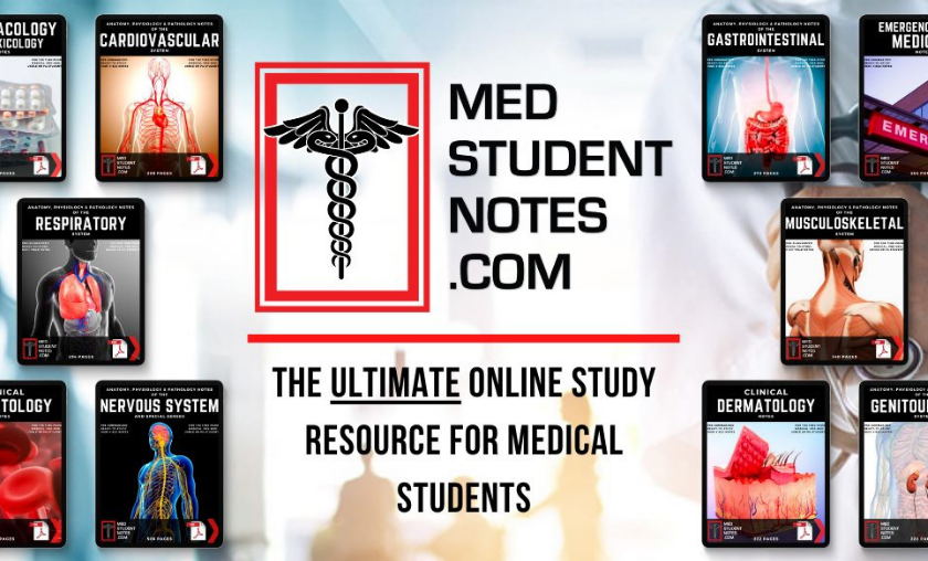 MedStudentNotes Review Empowering Future Doctors, One Note at a Time!
