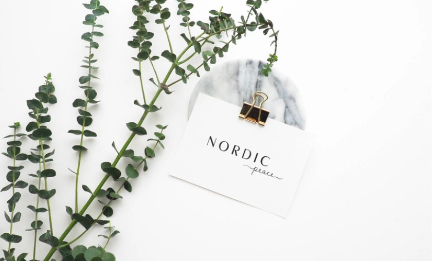 Nordic Peace Review: Best Fashion & Home Essentials! ([wpsm_custom_meta type=date field=month] [wpsm_custom_meta type=date field=year]) - The Complete Portal