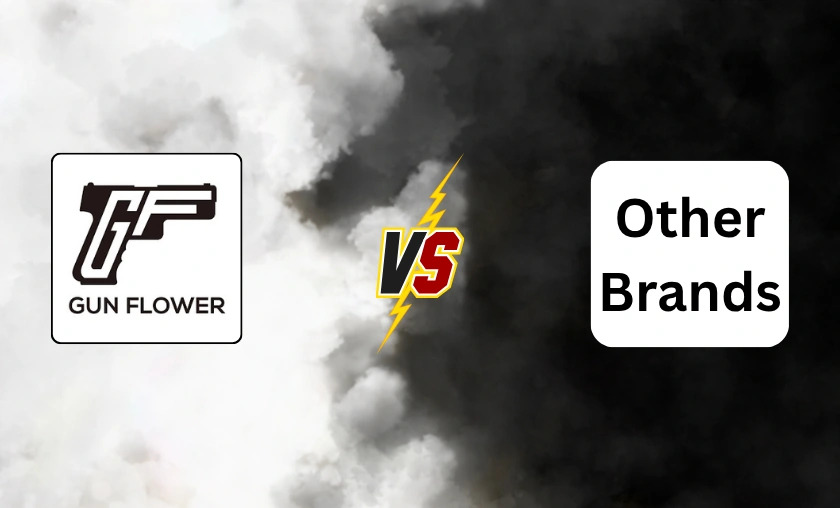 Polymerholster Review: Best Secure Firearm Holsters! ([wpsm_custom_meta type=date field=month] [wpsm_custom_meta type=date field=year]) - The Complete Portal