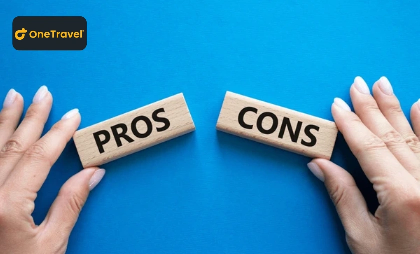 Pros & Cons of OneTravel