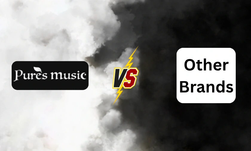 Pures Music Review: Best Handcrafted Instruments! ([wpsm_custom_meta type=date field=month] [wpsm_custom_meta type=date field=year]) - The Complete Portal