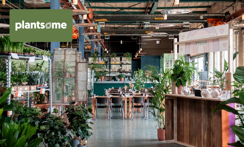 Reasons to Choose Plantsome!