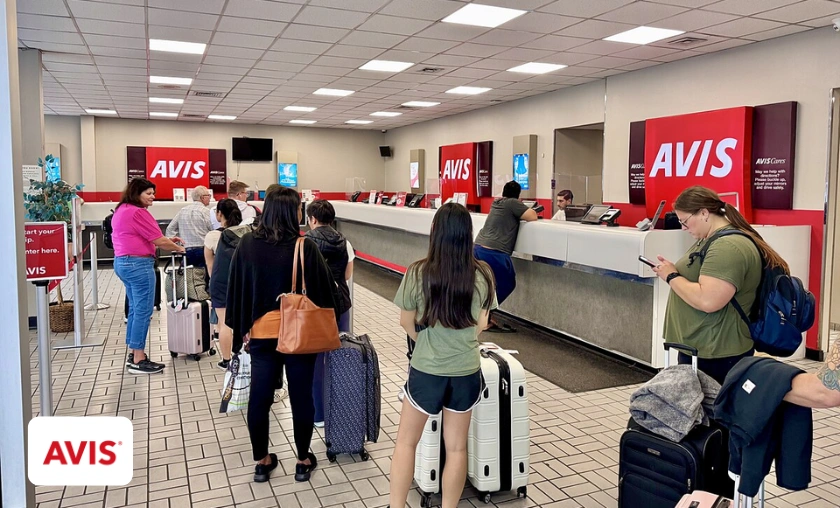 Reasons to Use Avis NL