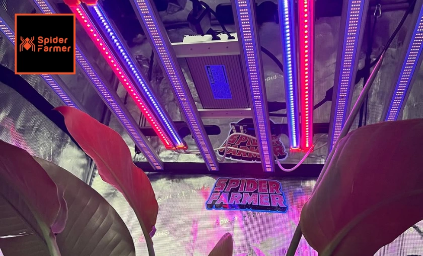 Spider Farmer Real Customer Reviews!