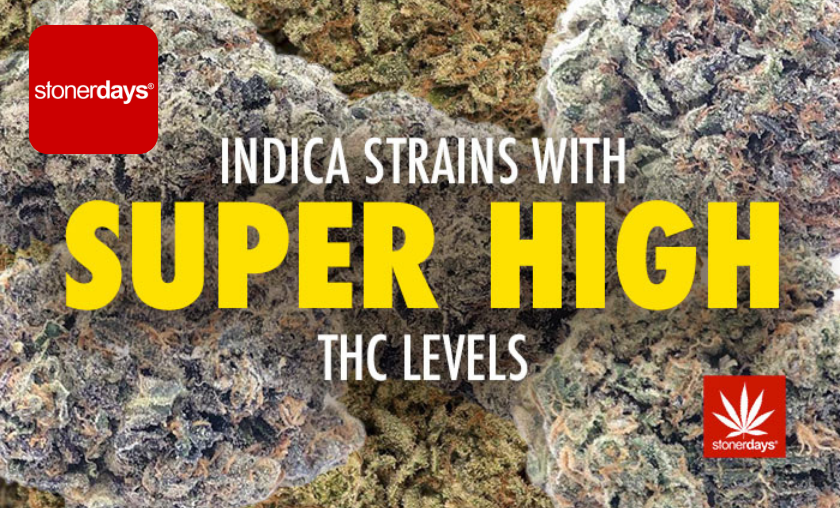 StonerDays Review: Best Creative Lifestyle Apparel! ([wpsm_custom_meta type=date field=month] [wpsm_custom_meta type=date field=year]) - The Complete Portal