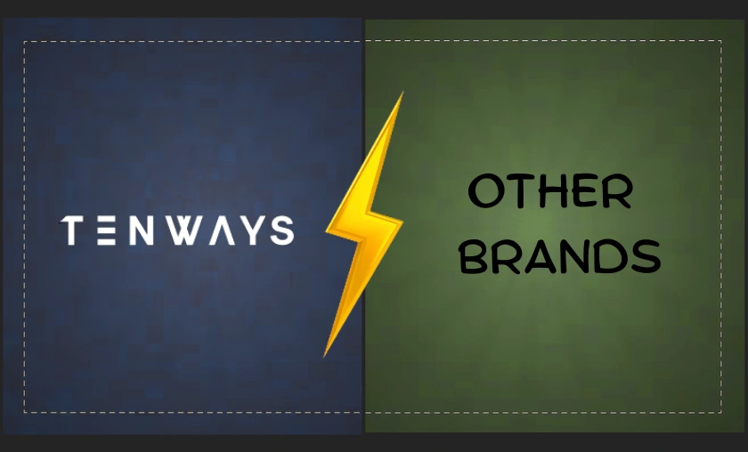 Tenways vs Other E-Bike Brands