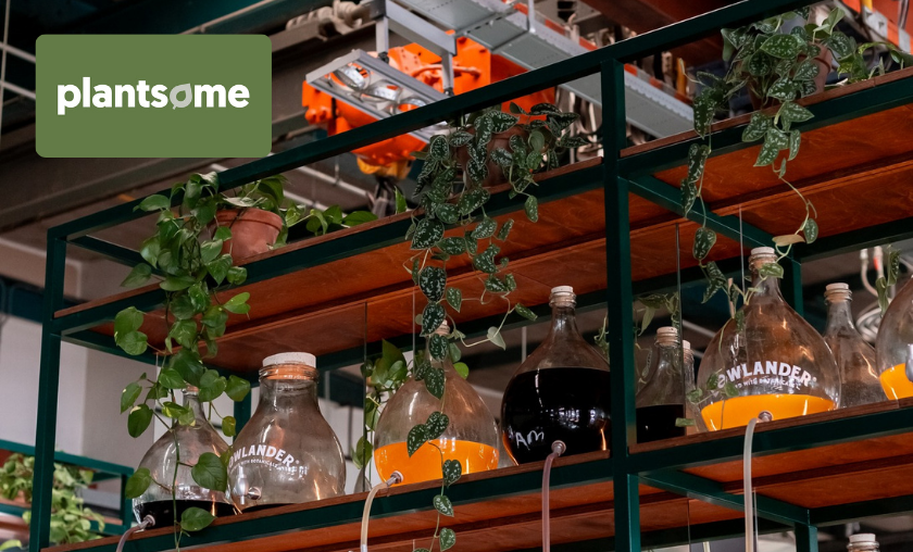 The Story of Plantsome!