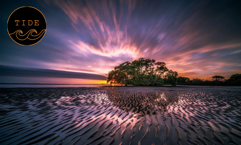 Tide Optics Review: Best Premium Camera Filters! ([wpsm_custom_meta type=date field=month] [wpsm_custom_meta type=date field=year]) - The Complete Portal