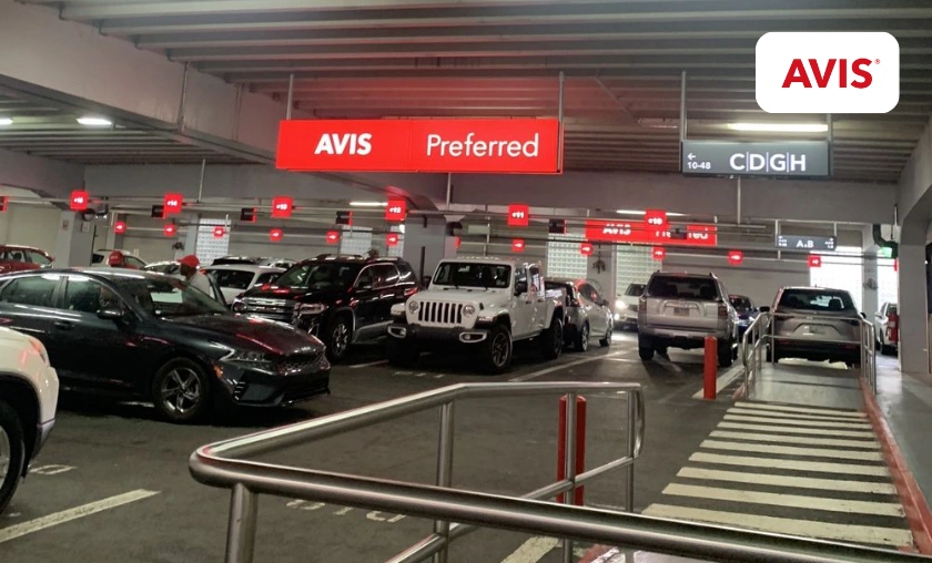 Top 5 Avis NL Services