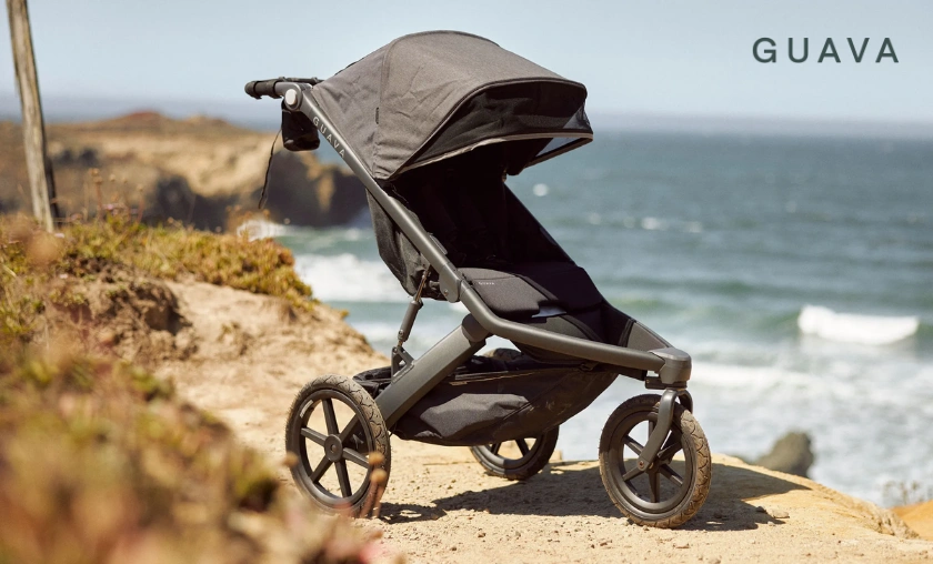 Top 5 Guava Family Products You Must Try