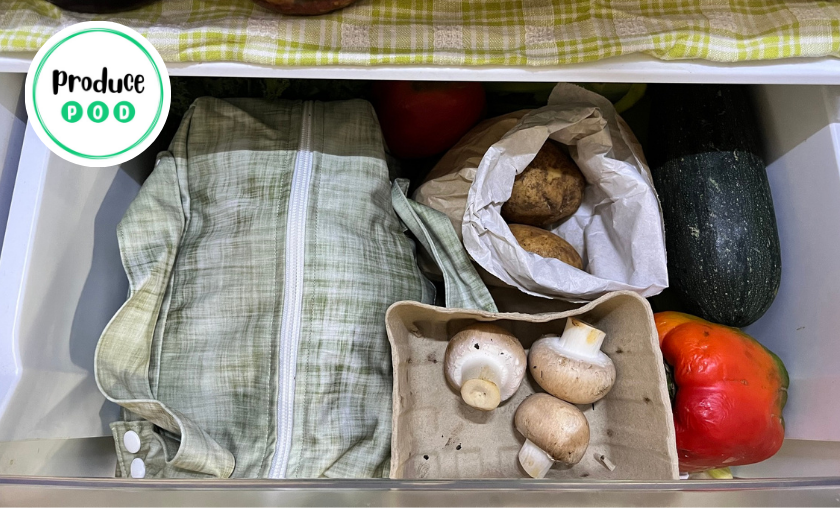 Produce Pod Review: Best Eco-Friendly Storage! ([wpsm_custom_meta type=date field=month] [wpsm_custom_meta type=date field=year]) - The Complete Portal