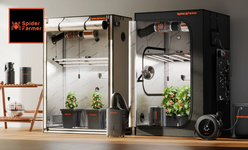 Spider Farmer Review: Best Grow Lights for Farming! ([wpsm_custom_meta type=date field=month] [wpsm_custom_meta type=date field=year]) - The Complete Portal