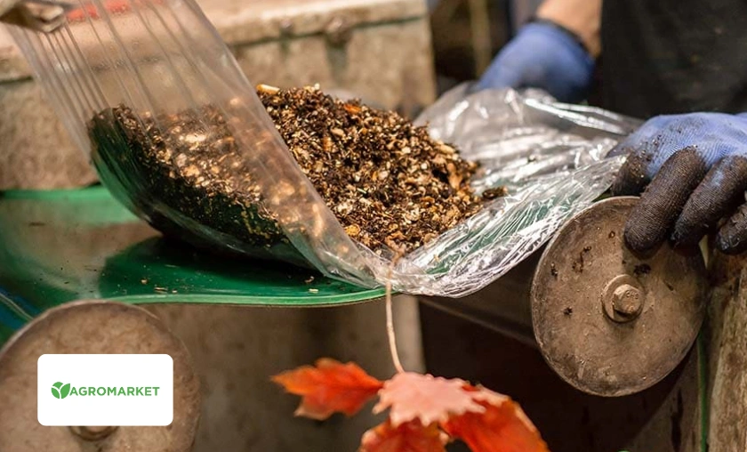 Agro-Market Ukraine Review: A Full Guide for Gardeners & Growers! ([wpsm_custom_meta type=date field=month] [wpsm_custom_meta type=date field=year]) - The Complete Portal