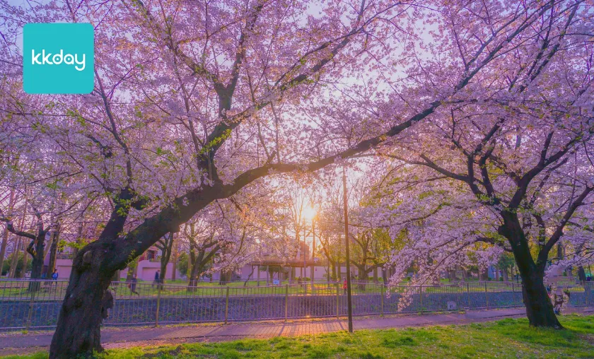 KKday Review: Best Tours & Attraction Ticket Booking! ([wpsm_custom_meta type=date field=month] [wpsm_custom_meta type=date field=year]) - The Complete Portal