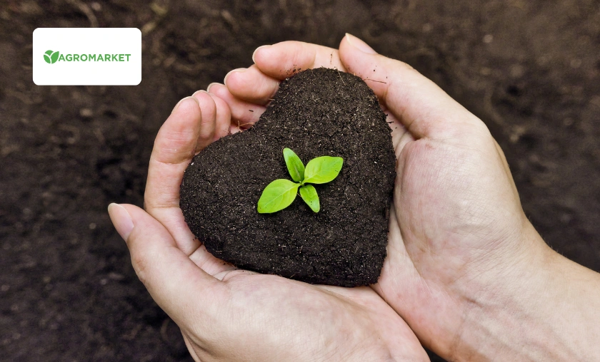 Agro-Market Ukraine Review: A Full Guide for Gardeners & Growers! ([wpsm_custom_meta type=date field=month] [wpsm_custom_meta type=date field=year]) - The Complete Portal