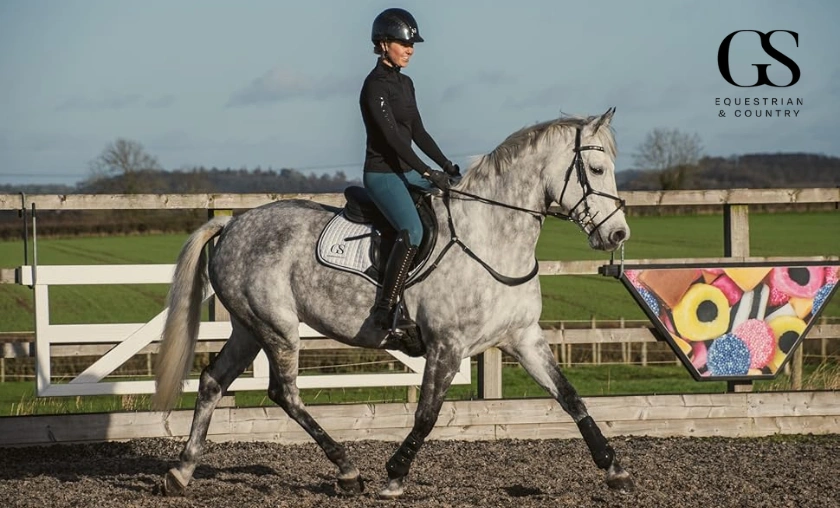 Reasons to Use GS Equestrian UK