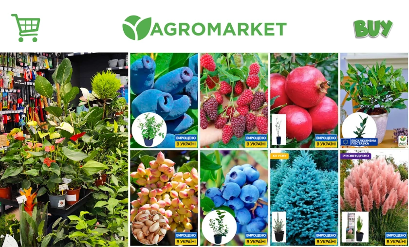 Agro-Market Ukraine Review: A Full Guide for Gardeners & Growers! ([wpsm_custom_meta type=date field=month] [wpsm_custom_meta type=date field=year]) - The Complete Portal