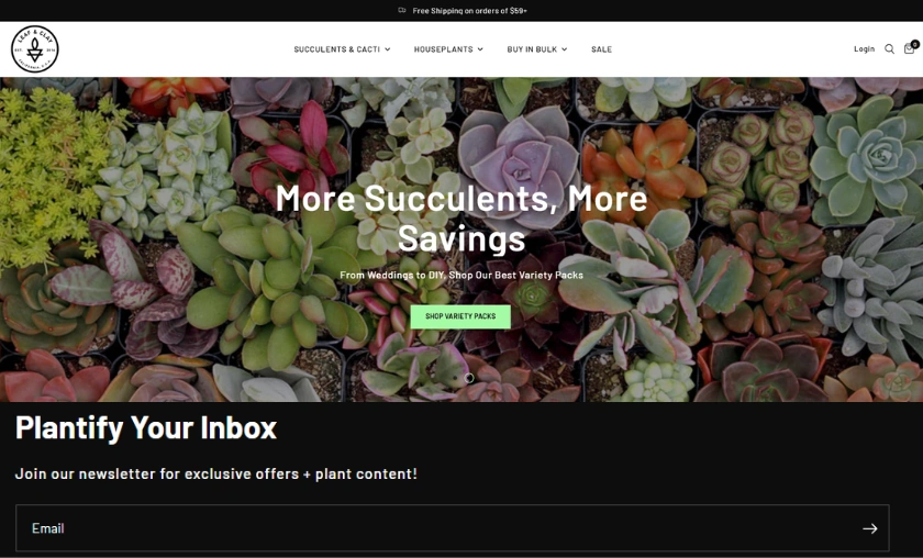 Shopping Tips for Leaf & Clay