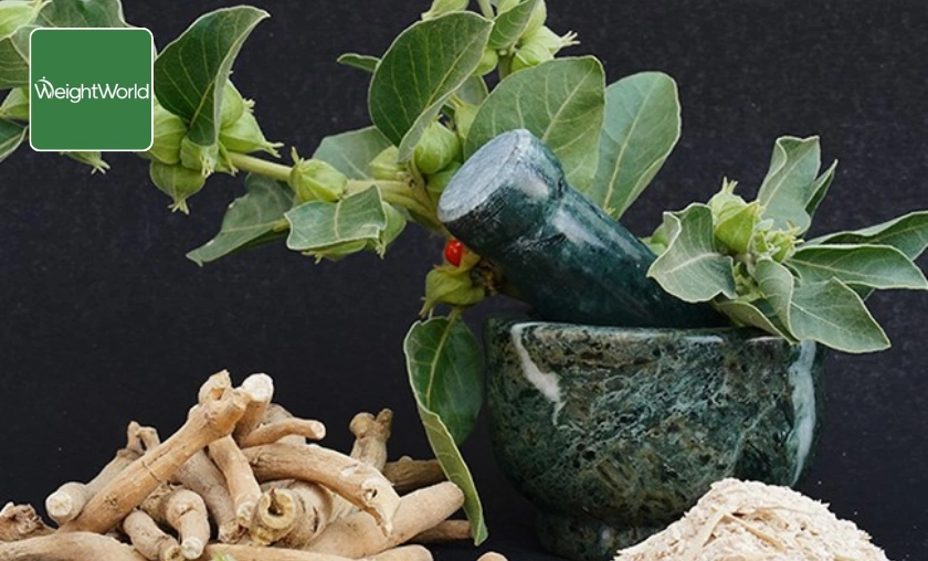 WeightWorld UK Review: Best Superfoods & Vitamins! ([wpsm_custom_meta type=date field=month] [wpsm_custom_meta type=date field=year]) - The Complete Portal