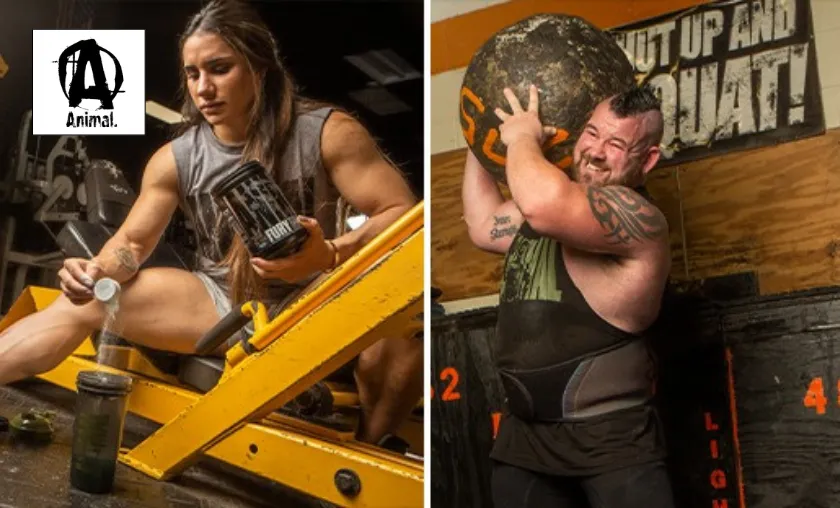 AnimalPak US Review: Best Multivitamins & Supplements! ([wpsm_custom_meta type=date field=month] [wpsm_custom_meta type=date field=year]) - The Complete Portal