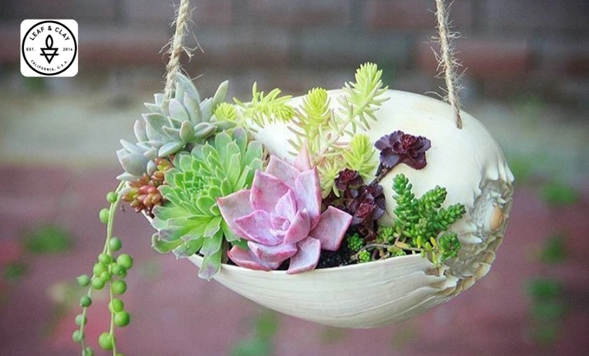 The Story of Leaf & Clay