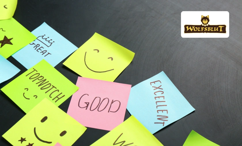 Wolfsblut DE Review: What Makes This Brand Trusted by Pet Owners! ([wpsm_custom_meta type=date field=month] [wpsm_custom_meta type=date field=year]) - The Complete Portal