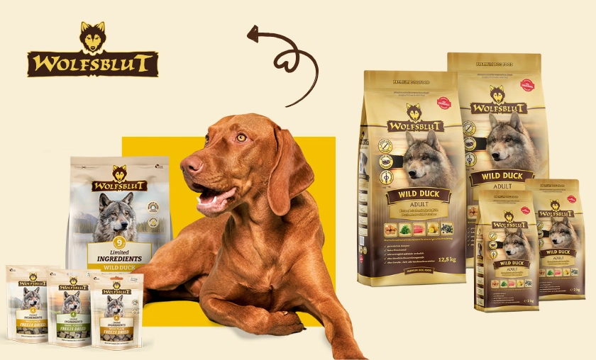 Wolfsblut DE Review – A Deeper Look Into Quality & Trust