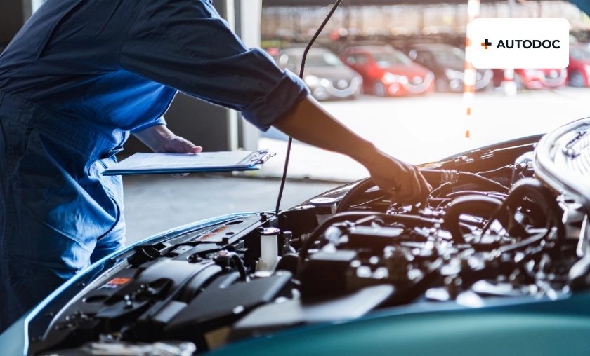 AUTODOC Italia Review – A Deep Look Into Performance and Experience