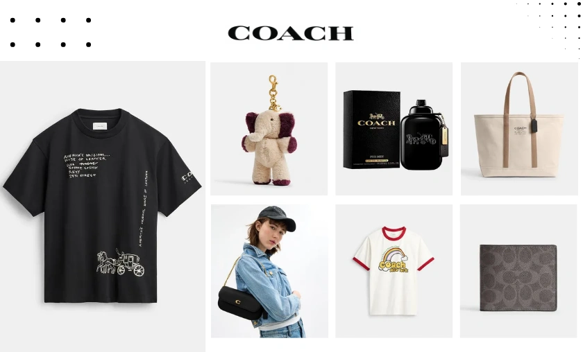 Coach MX Review: Best Timeless Fashion Accessories! ([wpsm_custom_meta type=date field=month] [wpsm_custom_meta type=date field=year]) - The Complete Portal
