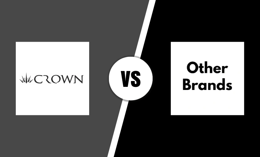 Crown Brush Review: Best Palettes & Pro Beauty Tools! ([wpsm_custom_meta type=date field=month] [wpsm_custom_meta type=date field=year]) - The Complete Portal